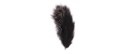 Véritable plume d'autruche couleur noire de 15cm en vente par sachet de 10g.