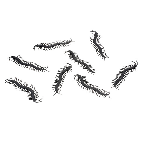 8 faux insecte mille patte noir de 14cm en vente.