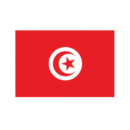 Drapeau Tunisie de 150cm en vente chez Be Happy à Paris et en ligne.