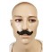 Moustache noir