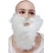 Barbe et moustache blanc