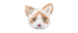 Masque peluche Chat luxe pour adulte en vente à Paris chez Be Happy et en ligne.