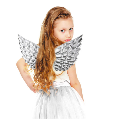 Ailes féerique, ange de couleur argenté en vente.