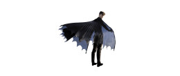 Cape de chauve souris Batman pour adulte noire longue en vente chez Be Happy