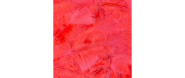 Vente plume souple rouge luxe sachet de 100 pièces en vente chez Be Happy