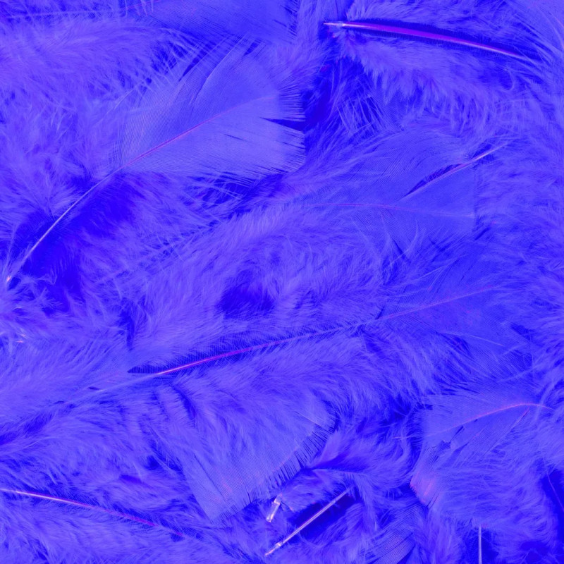 Vente plume souple bleue luxe sachet de 100 pièces en vente chez Be Happy