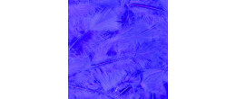 Vente plume souple bleue luxe sachet de 100 pièces en vente chez Be Happy