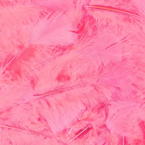 Vente plume souple rose luxe sachet de 100 pièces en vente chez Be Happy
