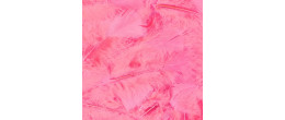 Vente plume souple rose luxe sachet de 100 pièces en vente chez Be Happy