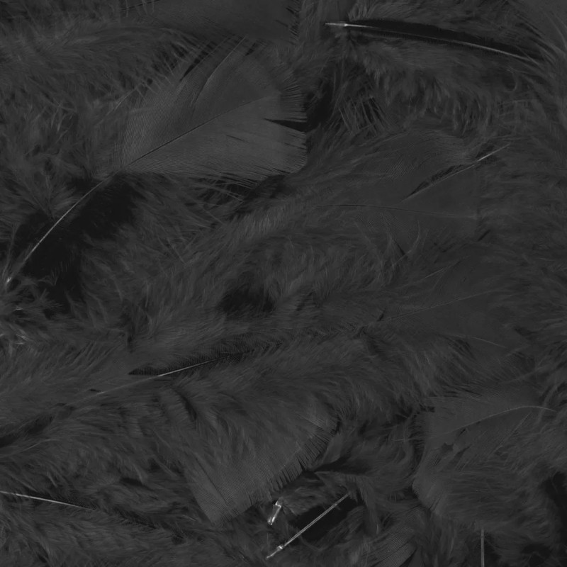 Vente plume souple noire luxe sachet de 100 pièces en vente chez Be Happy