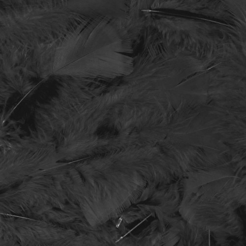 Vente plume souple noire luxe sachet de 100 pièces en vente chez Be Happy