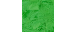 Vente plume souple verte luxe sachet de 100 pièces en vente chez Be Happy