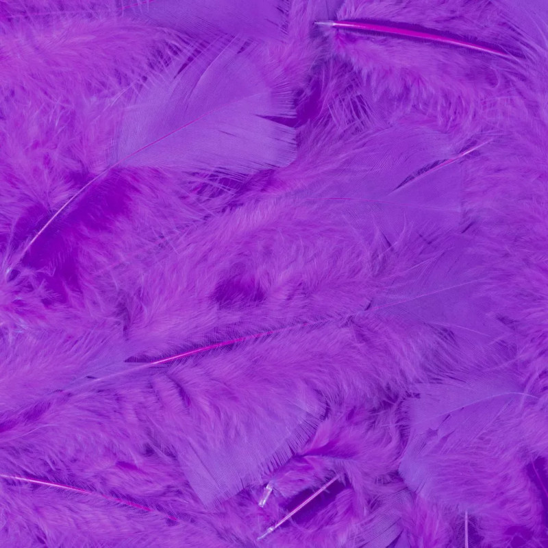 Vente plume souple violette luxe sachet de 100 pièces en vente chez Be Happy