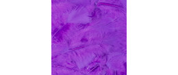 Vente plume souple violette luxe sachet de 100 pièces en vente chez Be Happy