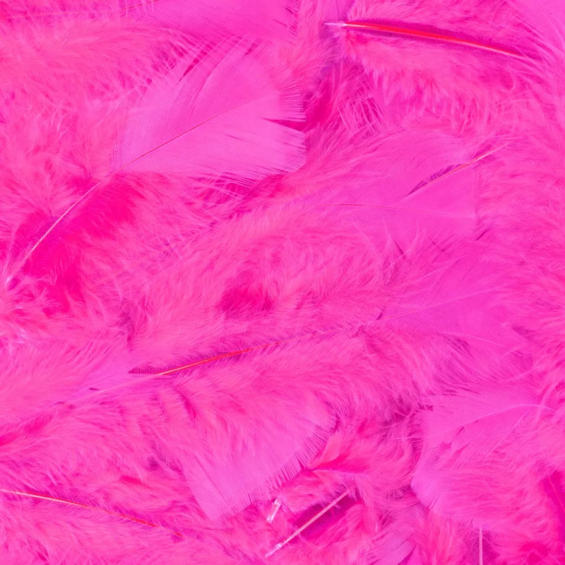 copy of Sachet 100 plumes rouge luxe