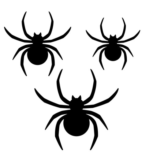 Décoration murales araignées