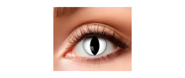 Lentilles oeil de chat blanc pour déguisement en vente chez Be Happy à Paris