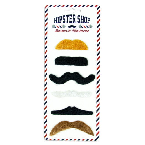 Lot de 6 moustaches couleurs assorties