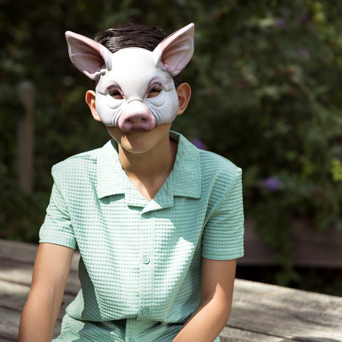 Masque animaux  cochon en vente chez Be Happy à Paris et en ligne.
