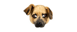 Masque peluche chien luxe Labrador pour adulte en vente à Paris chez Be Happy et en ligne.