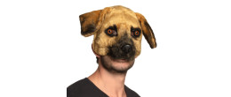 Masque peluche chien luxe Labrador pour adulte en vente à Paris chez Be Happy et en ligne.