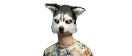 Masque peluche de chien Husky luxe pour adulte en vente à Paris chez Be Happy et en ligne.
