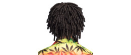 Perruque rasta jamaïcain avec dreadlocks court pour adulte en vente à Be Happy.