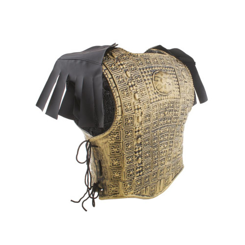 Armure gladiateur, viking doré
