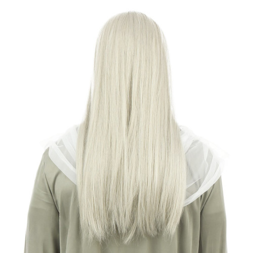 Perruque druide, mage, panoramix, sorcier, ensorceleur, père fourra de couleur grise, longue avec barbe longue 60cm en vente