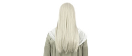 Perruque druide, mage, panoramix, sorcier, ensorceleur, père fourra de couleur grise, longue avec barbe longue 60cm en vente