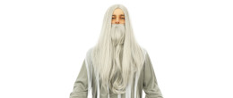 Perruque druide, mage, panoramix, sorcier, ensorceleur, père fourra de couleur grise, longue avec barbe longue 60cm en vente