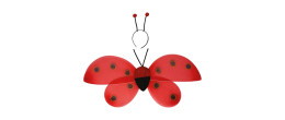 Ailes de coccinelle 48 cm pour adulte et enfant en vente chez Be Happy à Paris
