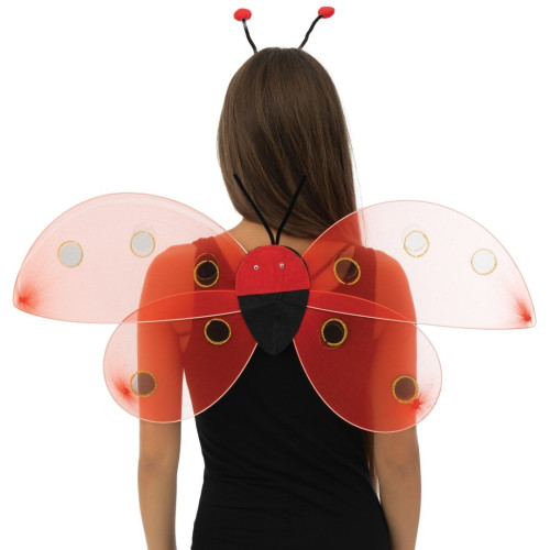 Ailes de coccinelle 48 cm pour adulte et enfant en vente chez Be Happy à Paris