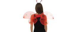 Ailes de coccinelle 48 cm pour adulte et enfant en vente chez Be Happy à Paris