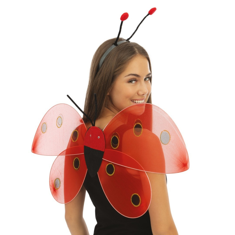 Ailes de coccinelle 48 cm pour adulte et enfant en vente chez Be Happy à Paris
