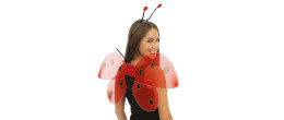 Ailes de coccinelle 48 cm pour adulte et enfant en vente chez Be Happy à Paris