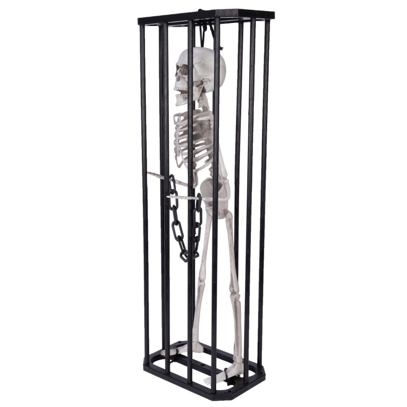 Squelette emprisonné 43cm