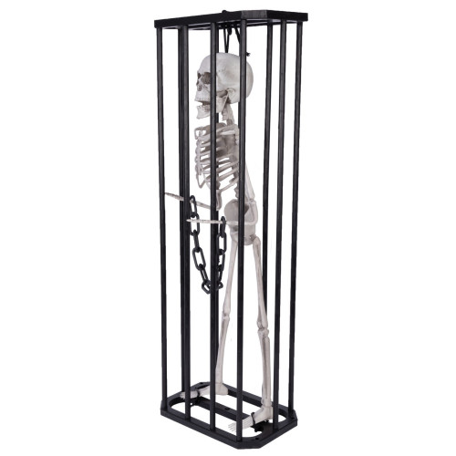 Squelette emprisonné 43cm