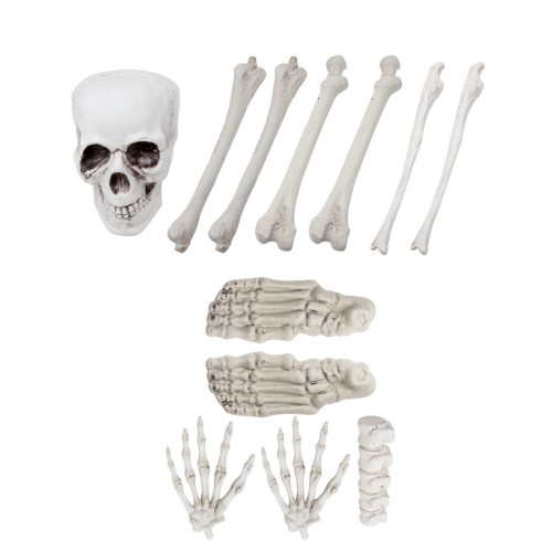Sac d'os réaliste 12 pcs