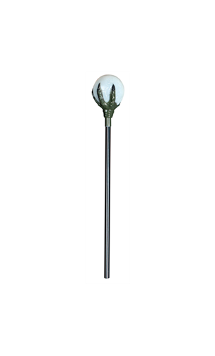 Baton de sorcière