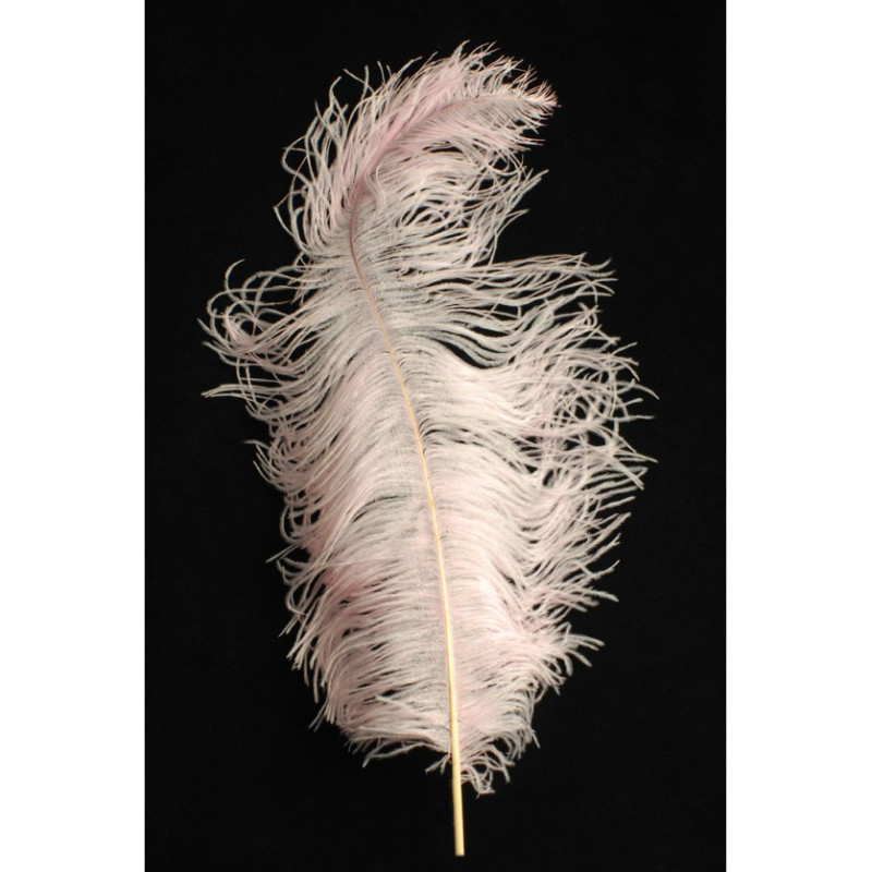 Véritable plume d'autruche couleur rose pale de 70cm en vente.