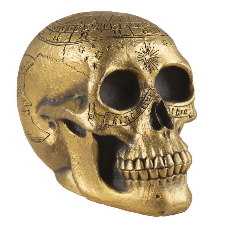 copy of Crane satanique