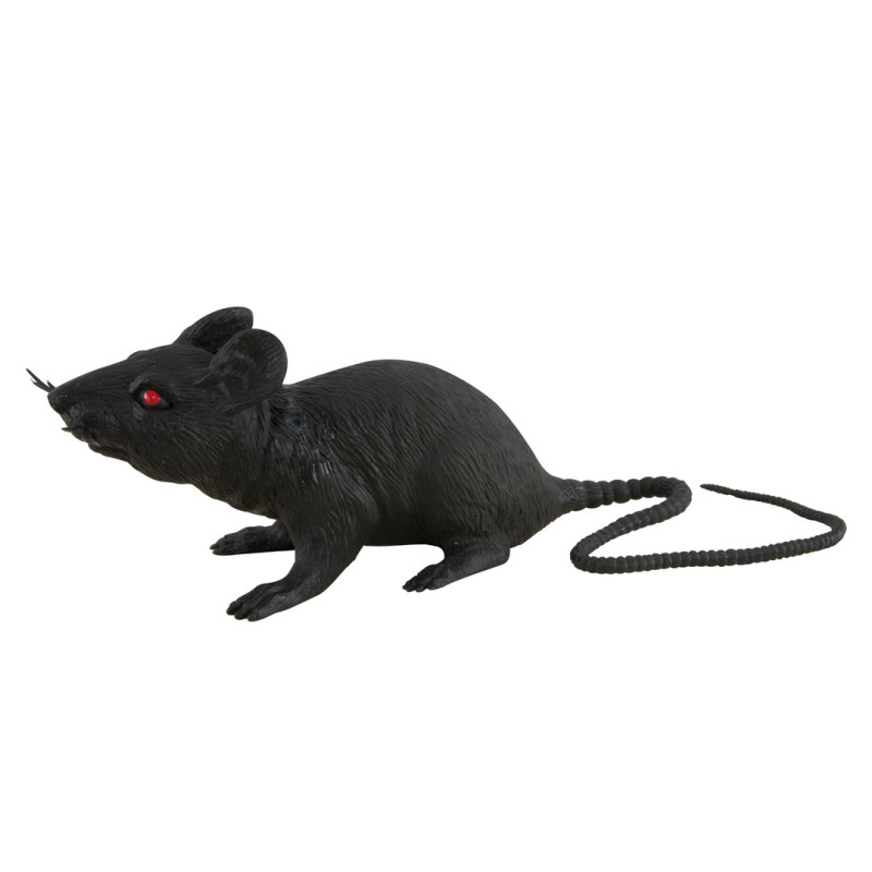 Rat noir