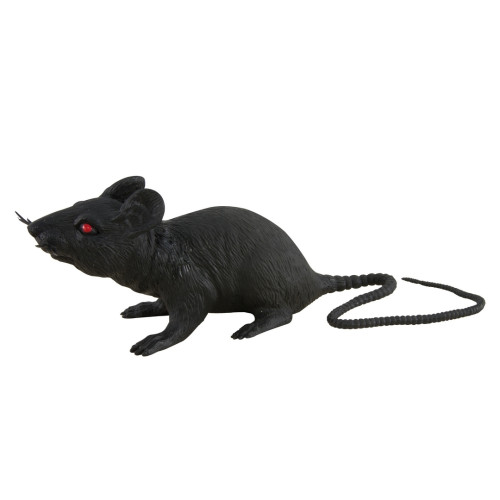 Rat noir