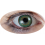 Lentille Iris Vert