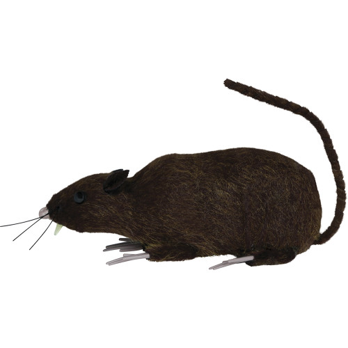 Fausse Souris