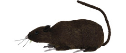 Fausse souris réaliste de 15cm avec poils en vente chez Be Happy pour farces ou Halloween