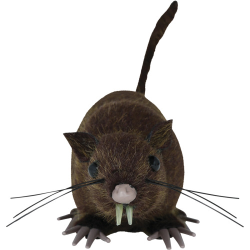 Fausse Souris