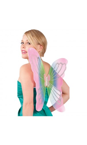 Ailes de fée multicolore